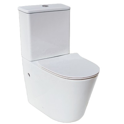 Medyag CE New design back to wall dual-flush P-trap Europe high quality soft closing rimless Modern washdown Two Piece Toilet