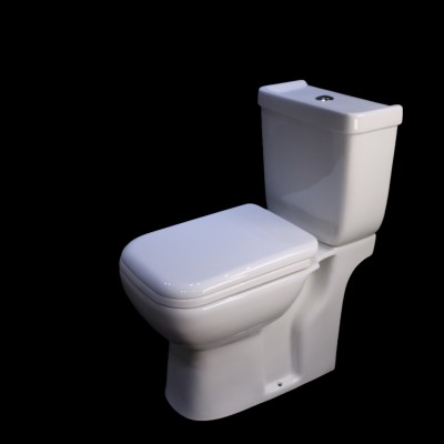 round economic european dual flush toilet